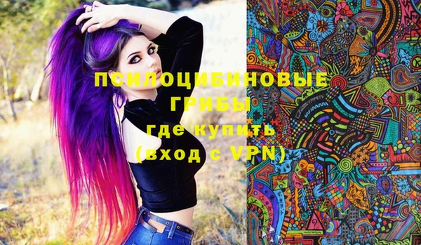 мдпв Горнозаводск