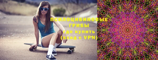 мдпв Горнозаводск