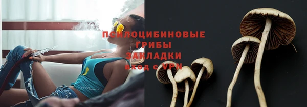 альфа пвп Горняк