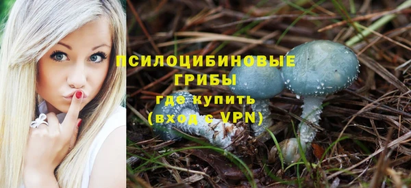 эйфоретик Горно-Алтайск