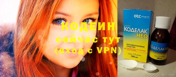 мдпв Горнозаводск
