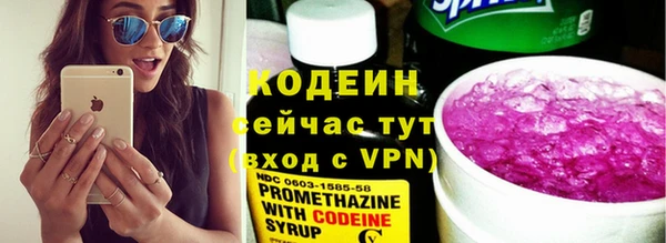 мдпв Горнозаводск