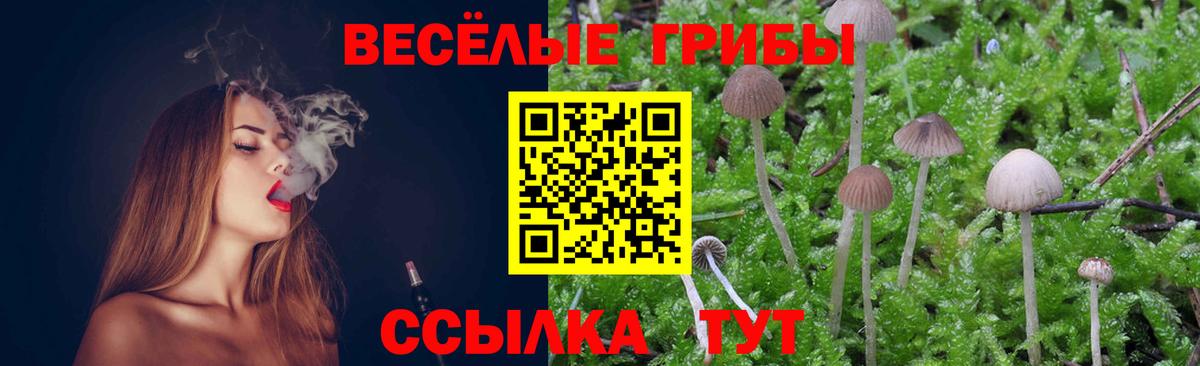 ГАШ Ноябрьск