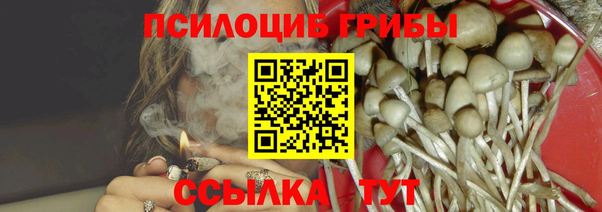 Галлюциногенные грибы Magic Shrooms  Псилоцибиновые грибы Psilocybe  Вход с VPN  Ноябрьск 